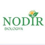 Nodir Biologiya