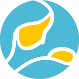 mdclinics_bot
