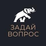 AP Support BOT