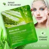 WB_AloeVeraBot