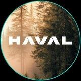 HAVAL H9 bot