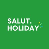 Salut Holiday - Главный по салютам