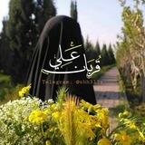 حُب مُحمد وآل مُحمد 🪽💛 .