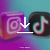 Instagram Tik Tok Save