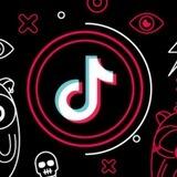 SnapTik - download TikTok video no watermark