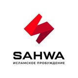 SAHWA - Обратная связь