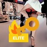 V&S Elite
