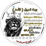 بوت تمويل { الأسد } ⚡