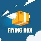 FlyingBox 🤖