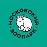 Спроси Тимофея🤓