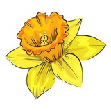 بوت تواصل 🌻