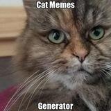 Cat Memes Generator 😸