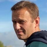 Navalny Box