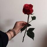 زَاي 🌻'