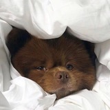 Любимка💖✨