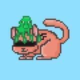 TON Chinchillas Bot