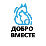 День Добрых Мемов