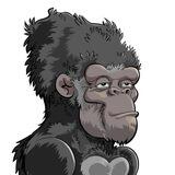 APEFLIX Airdrop