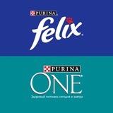 FelixPurinaOne_bot