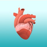 ❤️ Фибрилляция предсердий - рассказывает Ольга Бокерия