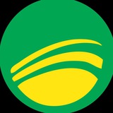 Программа лояльности купон
