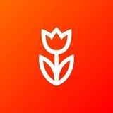 Flowwow feedback bot