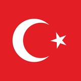 Проверка турецких компаний 🇹🇷