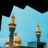 الزيارة بالإنابة