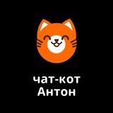 Чат-кот Антон