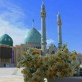 مُتَعَلـِّم على سبيلِ نجاة🌿✨