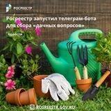 Росреестр: Дачный вопрос
