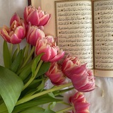 Ummu_hadija_qoriya