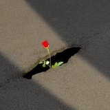 مـيــار