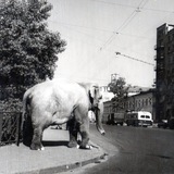 DistrictMSH_bot