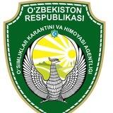uzdavkarantin_antikor