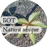 Бот Natura ubique
