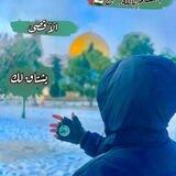 تواصل المعتصم بالله ..'ے 🇵🇸 📨