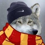 Волчья предложка