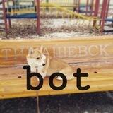Timashevsk__news_bot
