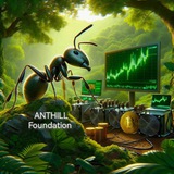 ANTHILL_Foundation