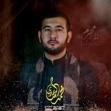 الشاعر الميرزا محمد الساعدي