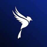 SoykaSoft | уроки для селлеров