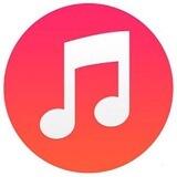 MuzBot | Скачать треки 🎵