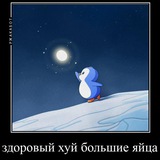 PENGU CHECKER BOT