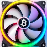 Fast Miner