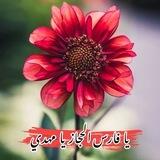 Nooralzahra313 _bot