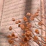 الفَناء