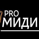Pro Мидии заказ