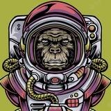 SPACE MONKEY bot