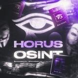 Horus Osint